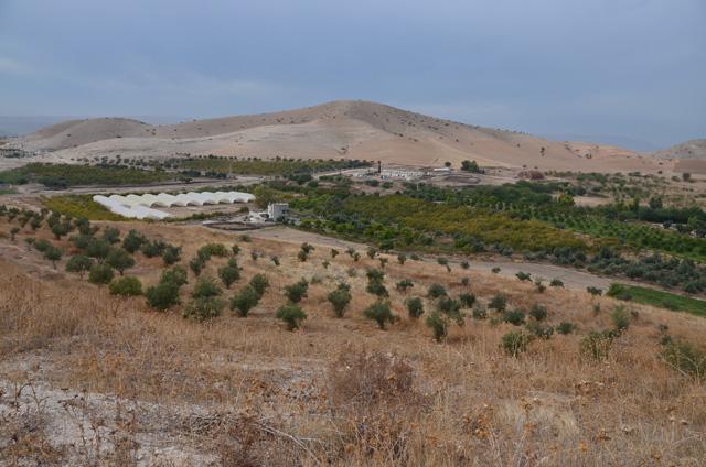 A view of farmland in the Jordan Valley (JT file photo)